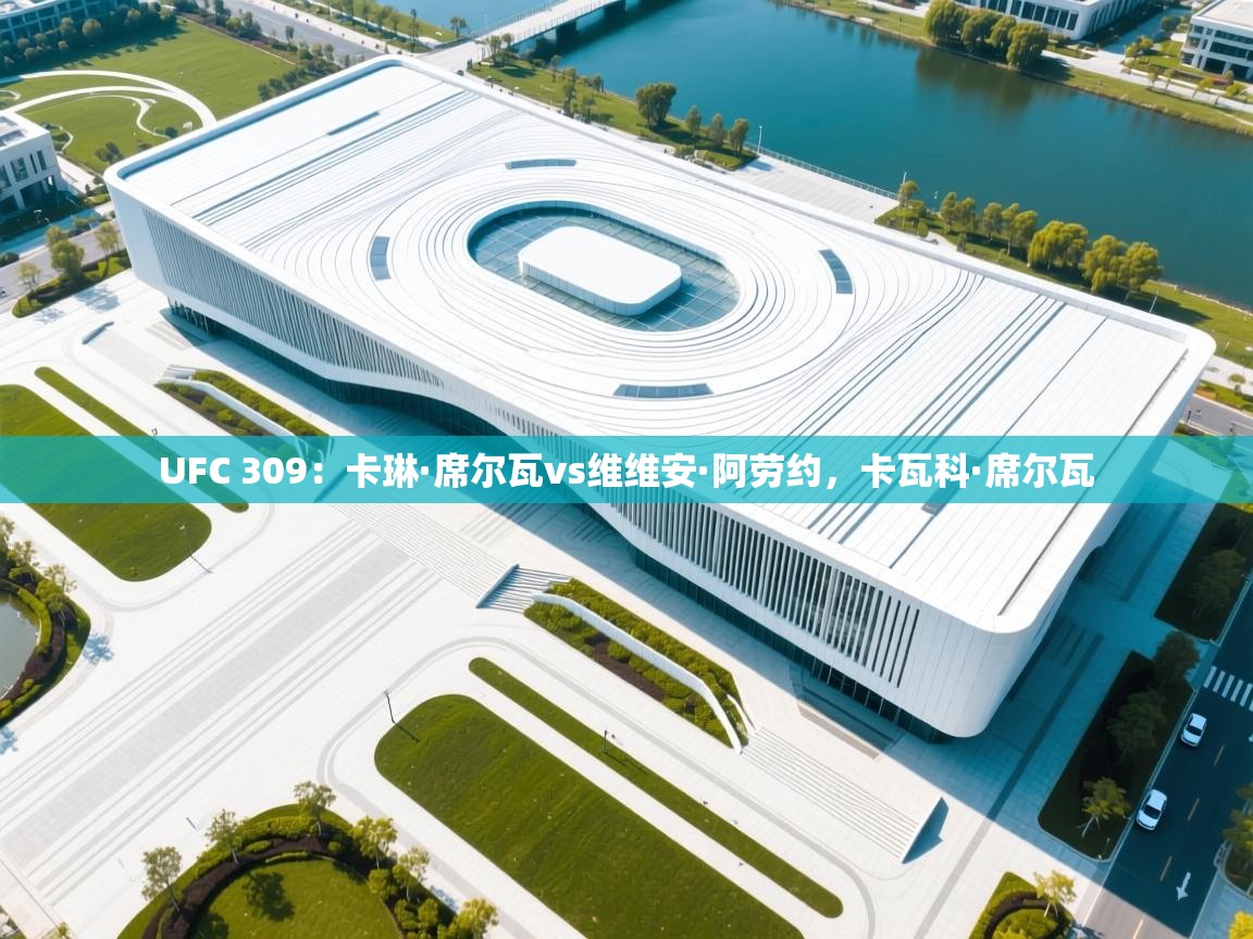 UFC 309:卡琳·席尔瓦vs维维安·阿劳约,卡瓦科·席尔瓦 第1张