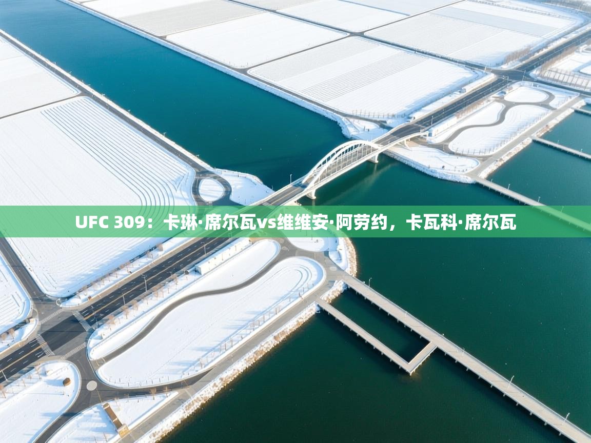 UFC 309:卡琳·席尔瓦vs维维安·阿劳约,卡瓦科·席尔瓦 第2张